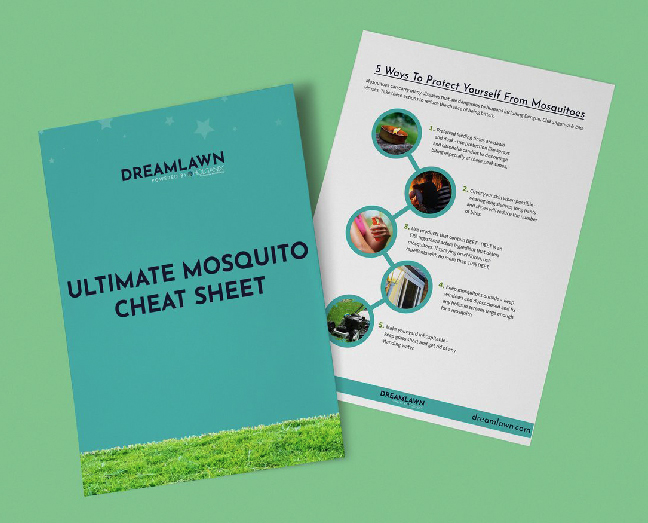 Mosquito Checklist