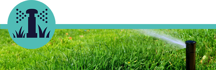 Dreamlawn-Services-Irrigation